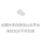 蓝色蝴蝶分隔线